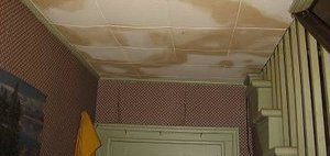 Water and Mold Damage On Ceiling