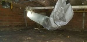 Mold Removal Of Subfloor