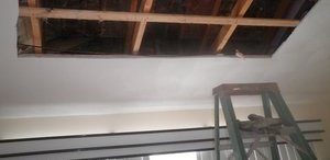 Mold Cleanup and Water Damage Repairs On Ceiling