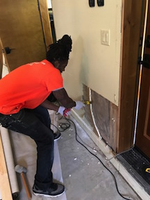 A Technician Removing Moldy Drywall