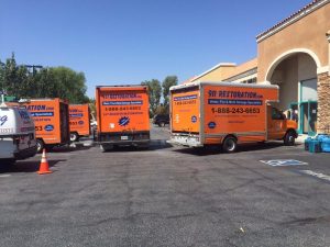 Mold Decontamination Team at a Commercial Job Site