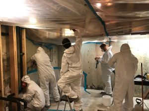 A Team Conducting Mold Remediation in a Residential Property